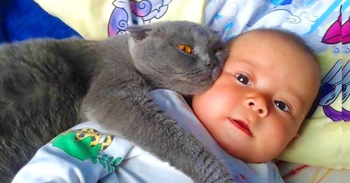 cat-won-t-let-baby-sleep-alone-when-parents-discover-why-they-call